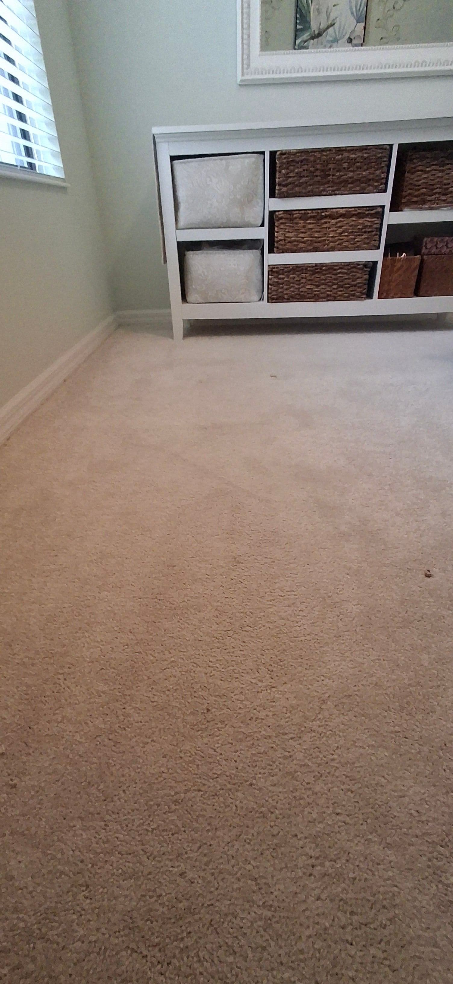 Project Freshly Restretched Carpet in a Cozy Room image