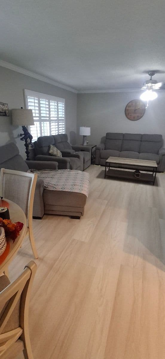 Stylish Vinyl Plank Flooring in Lake Sarasota image